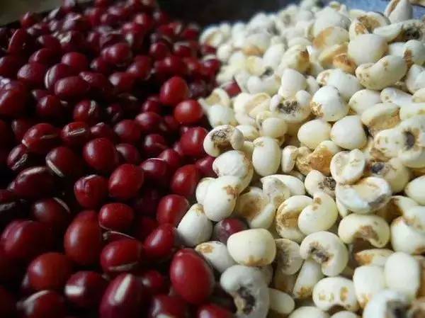 红豆薏米茶可以补充维生素