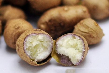 淀粉高不适合糖尿病患者