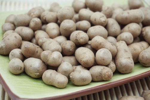  山药豆和山药的区别是什么，以及山药豆的功效与作用有哪些呢？