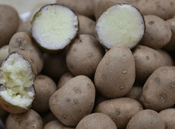  山药豆的禁忌有哪些？适合哪些人食用呢