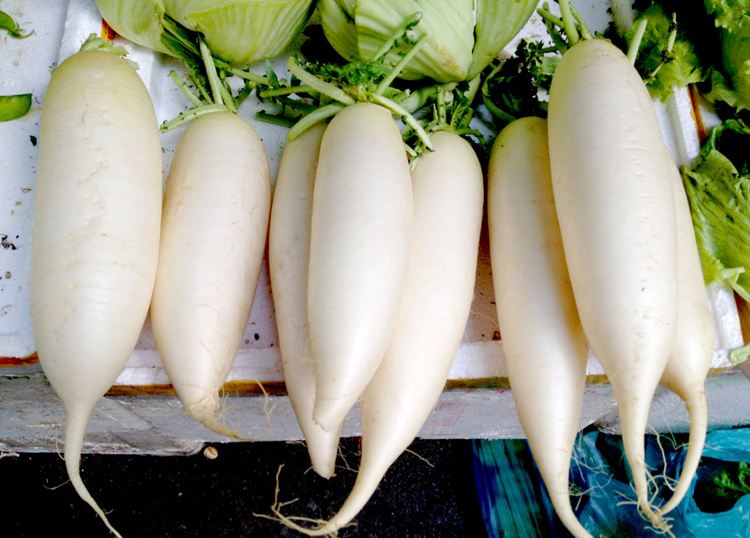 枇杷不能和萝卜一起