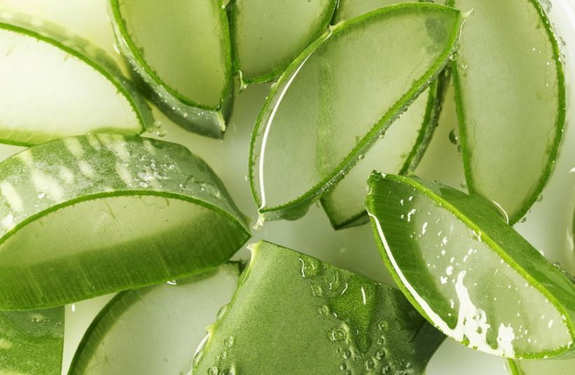 芦荟可以止痛抗炎