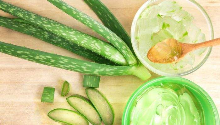  芦荟胶的使用也有这些注意事项，请牢记！