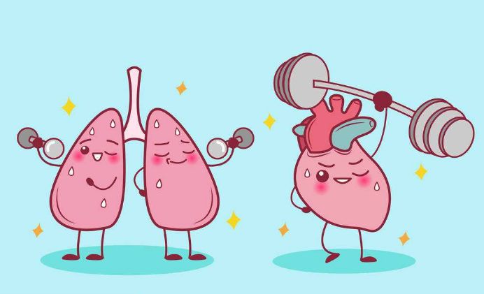 陈皮普洱茶能益气健脾