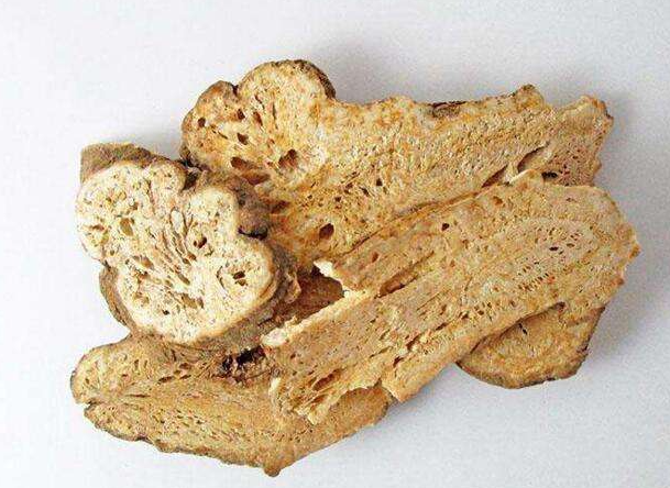  一起认识中药中的白术，这是一味非常适用的药材