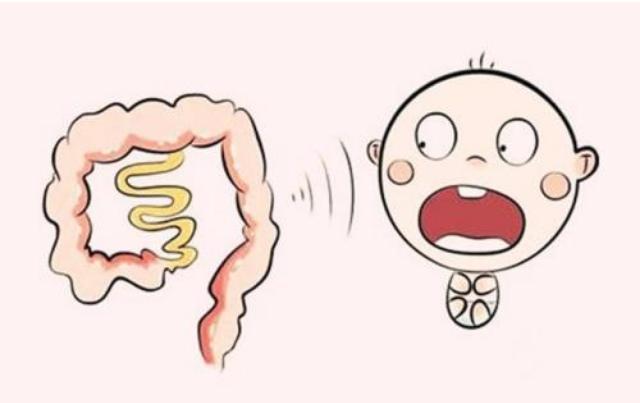 葡萄干泡水能润肠通便