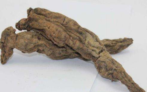 红枣不与玄参一起吃