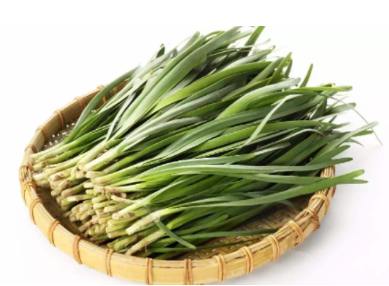 韭菜的功效与作用