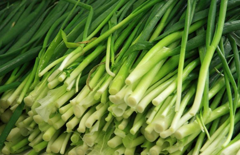  韭菜的功效与作用有哪些？让中医对韭菜非常认可！