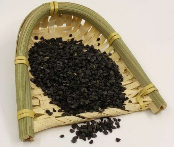 韭菜籽改善遗精