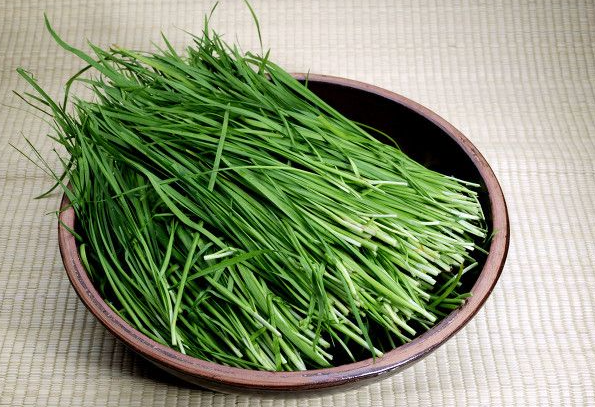  女人吃韭菜的好处是什么？其中几点女性朋友一定要知道