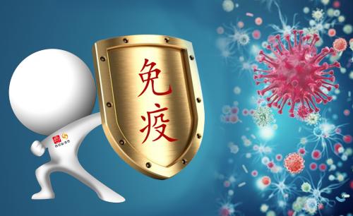 肉苁蓉可以提高免疫