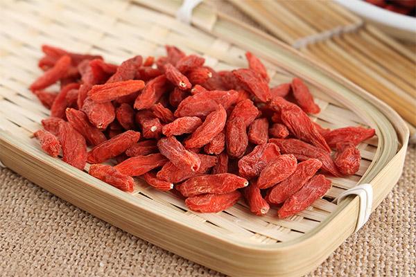 枸杞服用不可中断