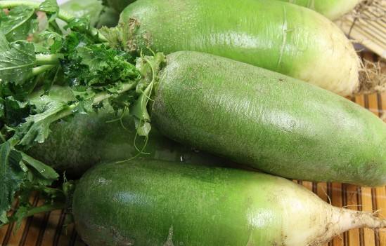 气虚体质不能吃