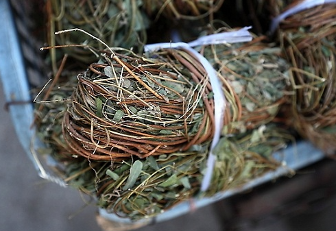  鸡骨草有养肝的作用，那么鸡骨草孕妇可以喝吗？