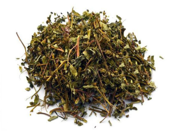  常见的珍珠草的功效与作用及食用方法是什么呢？