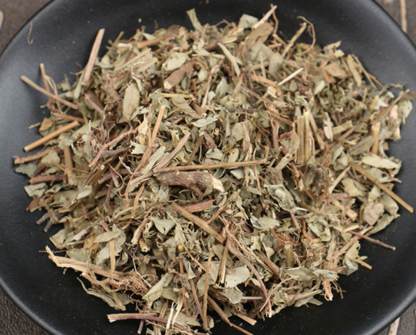 珍珠草的功效与作用及食用方法