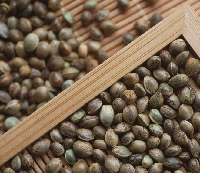 泡水喝缓解食欲不振