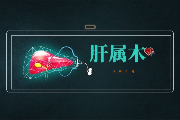 肝属木.五脏之首