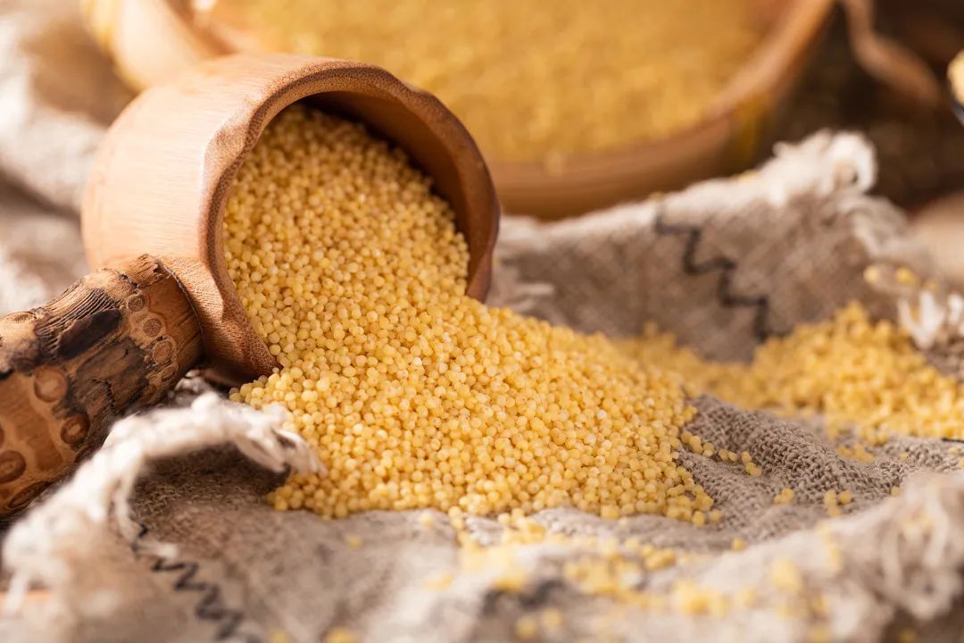  小米的功效与作用有哪些？除了调理肠胃还有这些