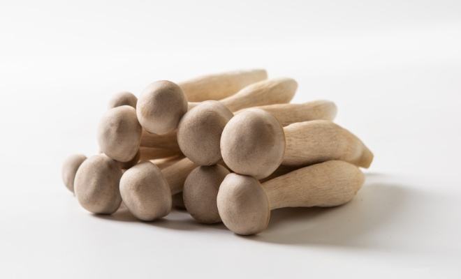 鹿茸菇降低胆固醇