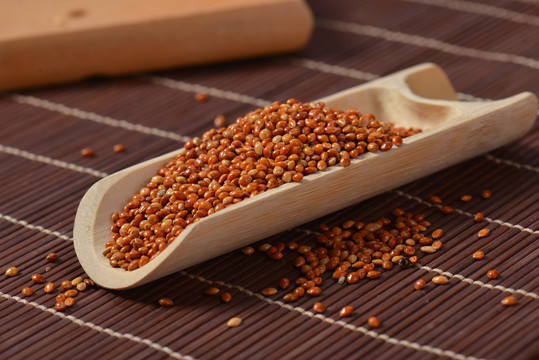 红粟米可以健脾养胃