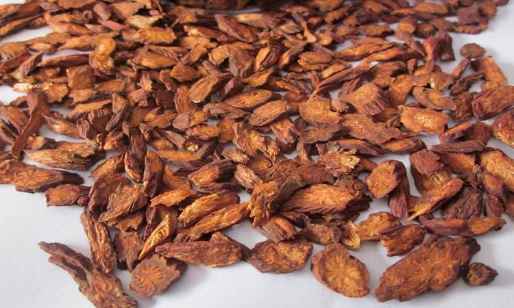  丹参茶的功效和作用有哪些？常喝丹参茶，身体会收获7大好处