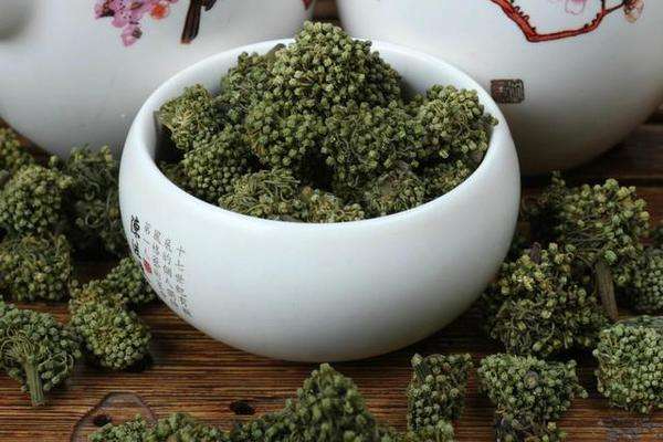 三七花提高免疫力