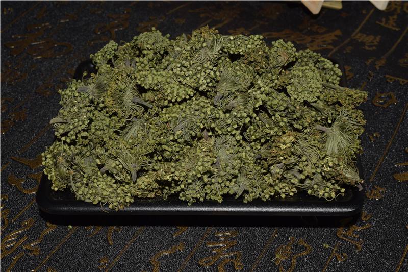 三七花风寒感冒者忌食