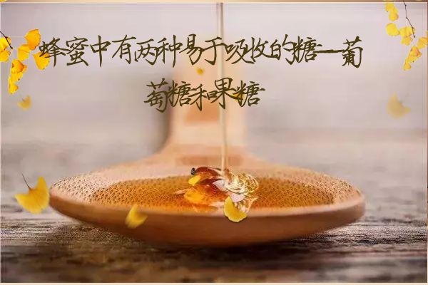  蜂蜜对老年人有哪些好处？以及老年人食用蜂蜜的注意事项有哪些？