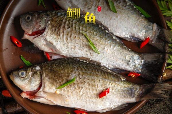  鲫鱼的营养价值及功效到底有多好？大病初愈，生完孩子都被建议食用鲫鱼！
