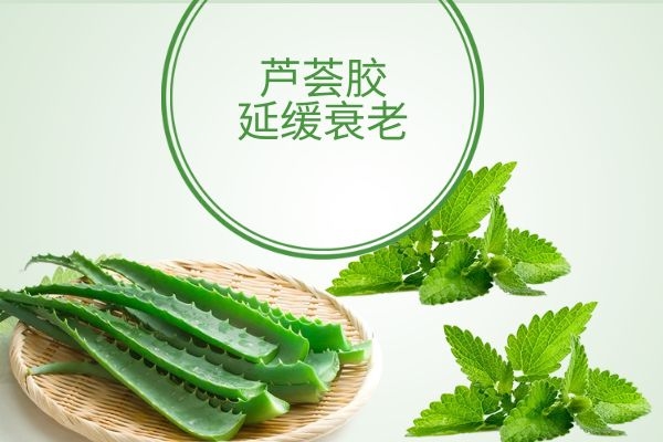 芦荟胶可以延缓衰老.jpg