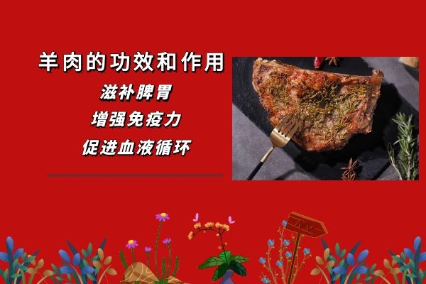 羊肉的功效和作用.jpg