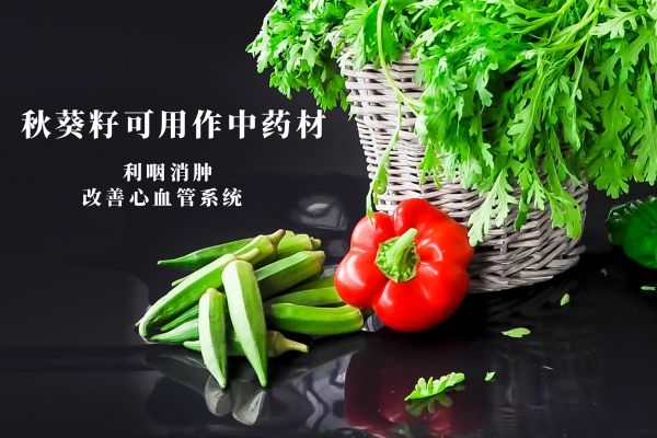 秋葵籽中药.jpg