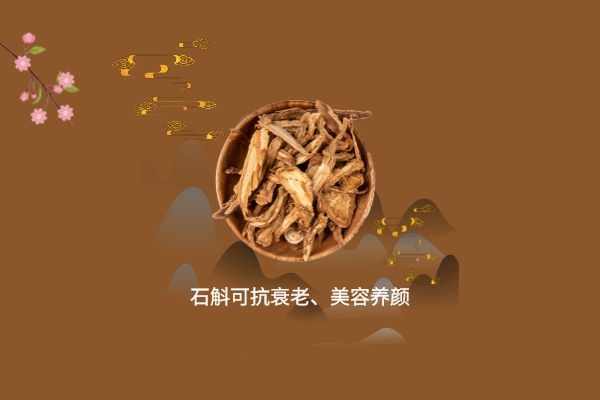  你会用石斛泡水吗？知道石斛的功效作用与禁忌分别是什么吗？