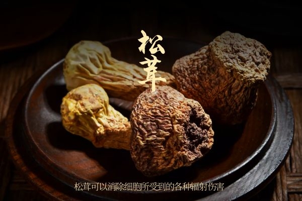  ​为啥卖得贵，从松茸的功效与作用就能看得出