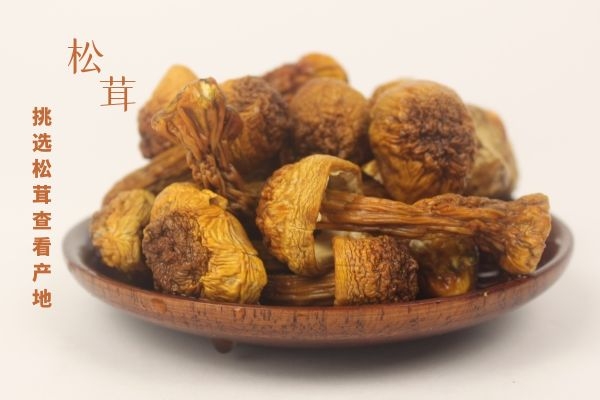  ​松茸珍贵，价格也不菲，怎么挑选松茸一定要学会