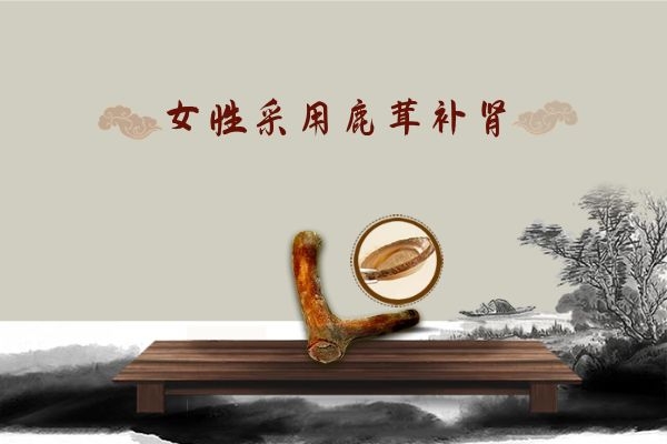鹿茸补肾.jpg