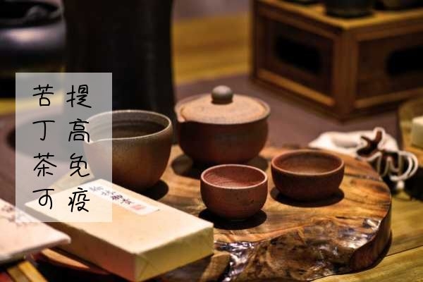  苦丁茶有什么作用和功效呢？为什么明明这么苦还是有很多人喝呢？