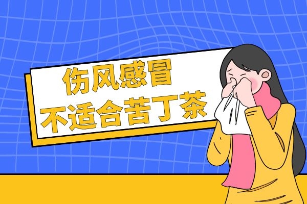 伤风感冒不适合苦丁茶.jpg