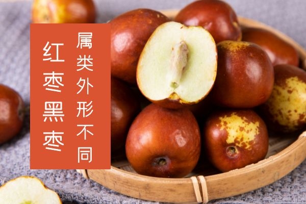  红枣和黑枣的区别是什么？哪一种的营养价值更好呢？