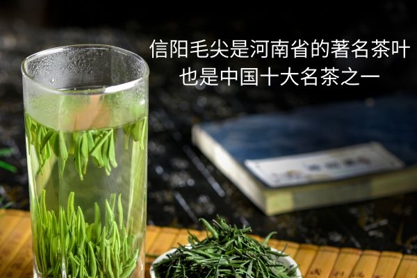 信阳毛尖.jpg