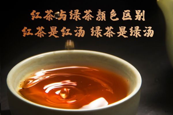  红茶和绿茶喝哪个更好，红茶和绿茶的区别是什么？