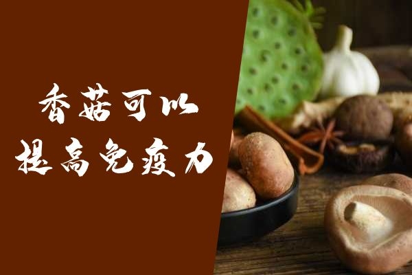  香菇的功效与作用以及禁忌分别是什么？