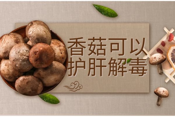 香菇护肝解毒