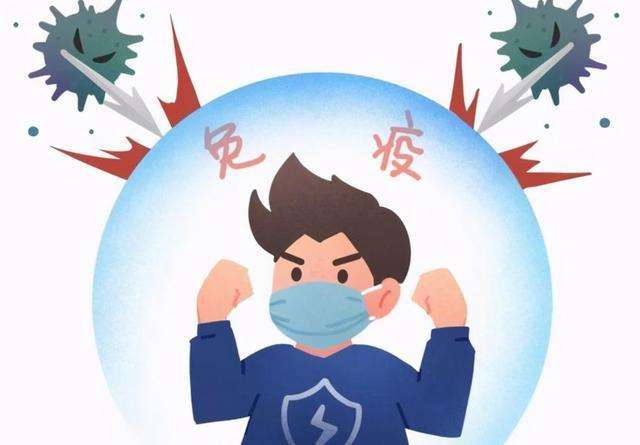 蕨菜可以增强抵抗力