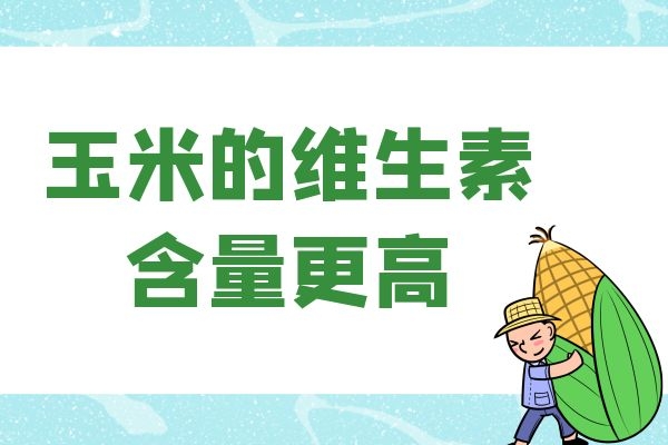 玉米维生素含量高
