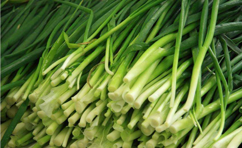 木瓜不能与韭菜同吃