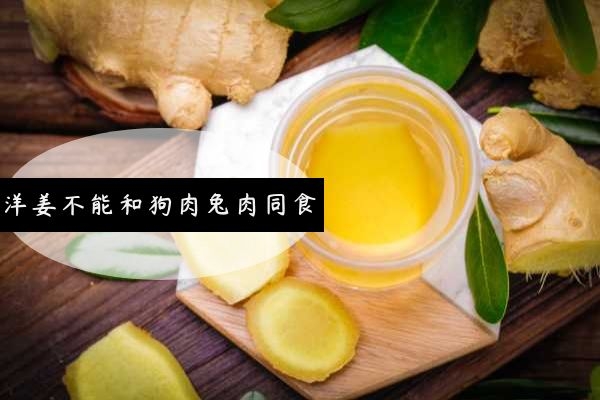 不能和狗肉兔肉同食
