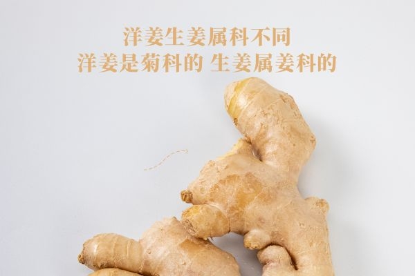  洋姜和生姜的区别是什么？四个方面教你区分